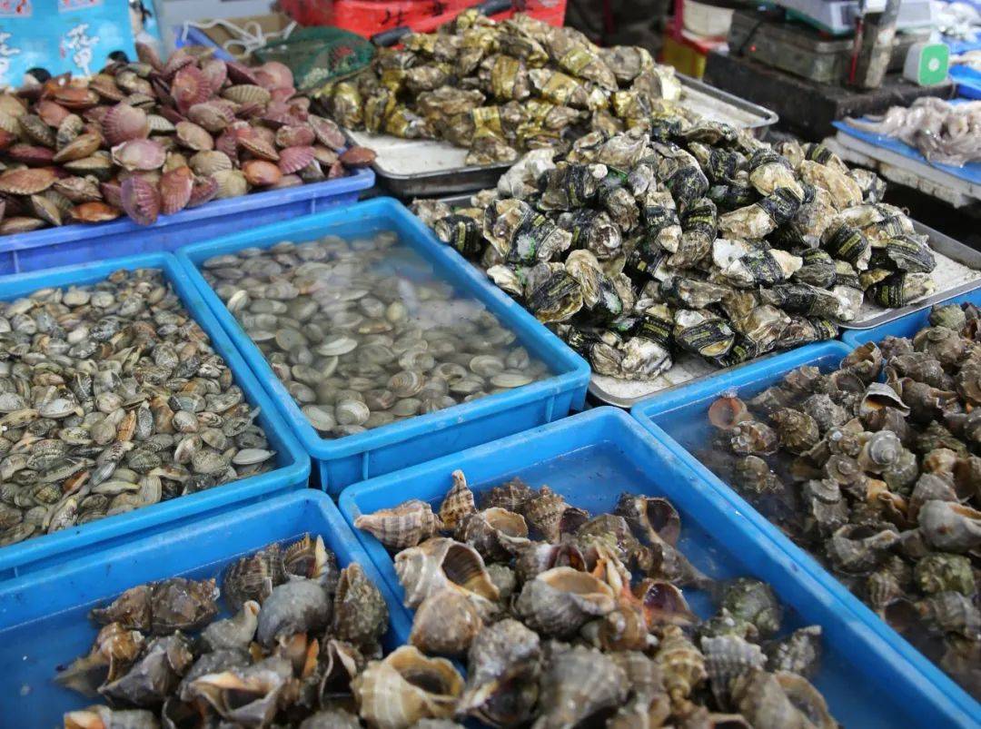 杭州市觀賞魚批發(fā)市場_杭州賣魚的市場_杭州觀賞魚批發(fā)市場