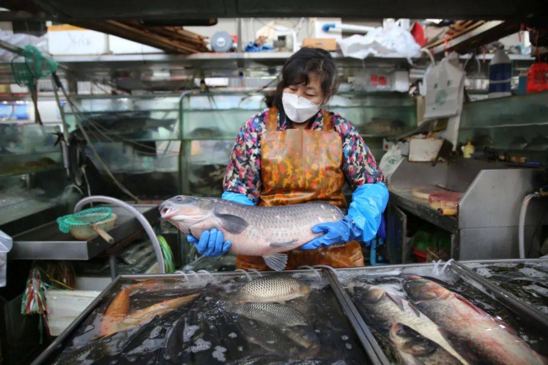 杭州市觀賞魚批發(fā)市場_杭州賣魚的市場_杭州觀賞魚批發(fā)市場