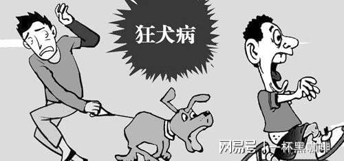 給狗狗打狂犬疫苗多少錢_給狗狗打狂犬疫苗多少錢_給狗狗打狂犬疫苗多少錢