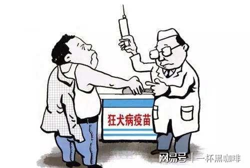 給狗狗打狂犬疫苗多少錢_給狗狗打狂犬疫苗多少錢_給狗狗打狂犬疫苗多少錢