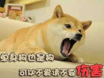 情人節秀恩愛說說_情人節秀恩愛說說_情人節秀恩愛說說