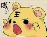 棗子狗能不能吃_狗能吃棗么_狗能吃棗嗎