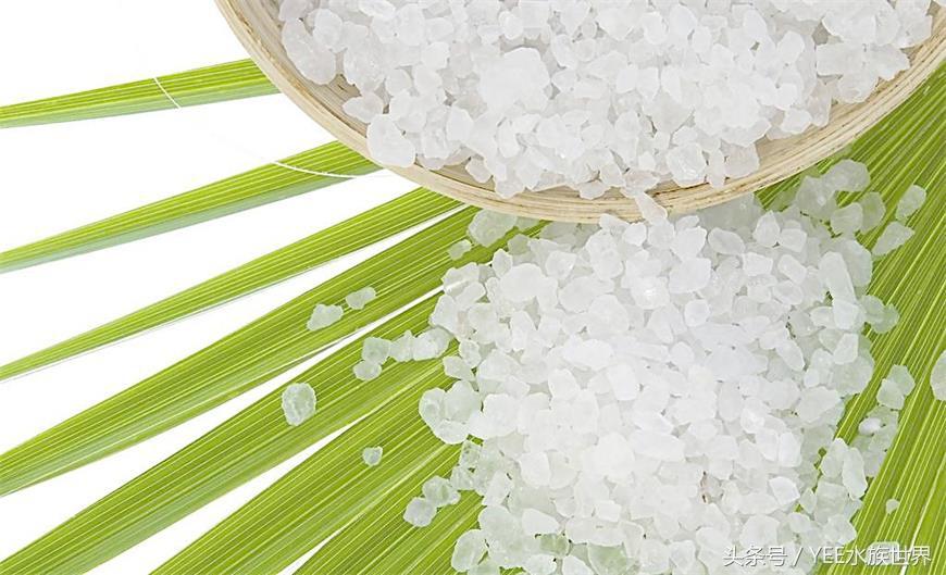 什么觀賞魚不用加熱棒_觀賞魚加熱棒調節(jié)最合適溫度_觀賞棒加熱魚用多大的魚