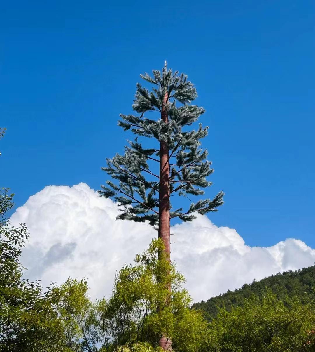 到云南旅游全攻略_云南去旅游攻略_去云南旅游線路