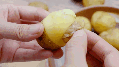 狗狗可以吃韭菜嗎_狗狗韭菜吃可以減肥嗎_狗狗韭菜可以吃嗎