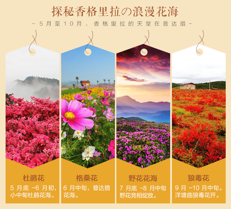 松贊林寺旅游攻略_松贊林寺旅游攻略_松贊林寺旅游攻略