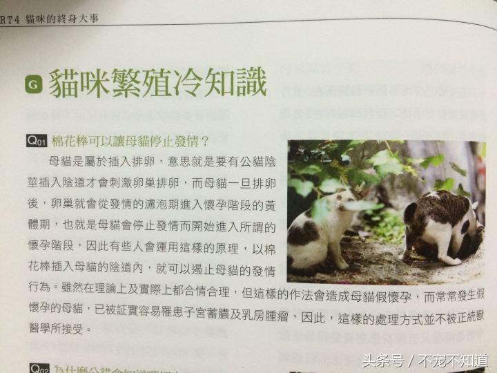 母狗發情怎么辦_母狗發情怎么辦_母狗發情怎么辦