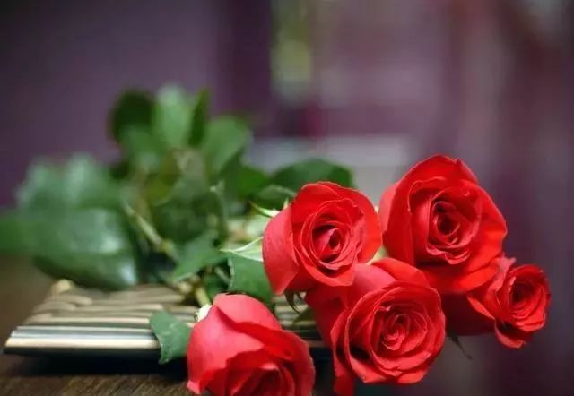 情人節祝福句子10_情人節祝福情人的話_2021情人的祝福語