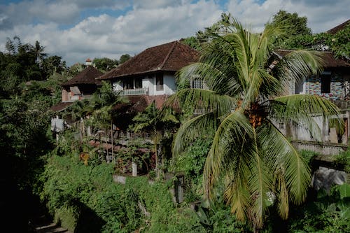 黃河風景游覽_黃河風景游覽區攻略_百里黃河風景區游玩攻略