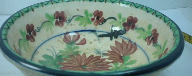 養(yǎng)觀賞魚的小說_主角養(yǎng)觀賞魚發(fā)家的小說_養(yǎng)魚的小說