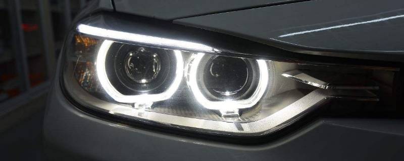 養(yǎng)魚的小說_養(yǎng)觀賞魚的小說_主角養(yǎng)觀賞魚發(fā)家的小說