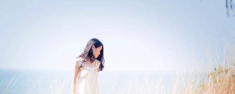 主角養(yǎng)觀賞魚發(fā)家的小說_養(yǎng)觀賞魚的小說_養(yǎng)魚的小說