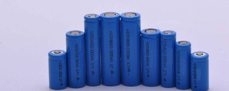 主角養(yǎng)觀賞魚發(fā)家的小說_養(yǎng)觀賞魚的小說_養(yǎng)魚的小說