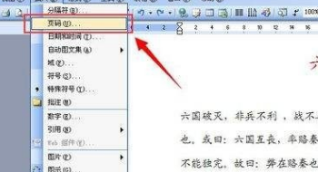 word頁碼設(shè)置為什么所有有的頁碼都是一