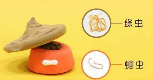 狗狗大便稀軟怎么回事_稀狗狗大便軟回事正常嗎_稀狗狗大便軟回事怎么辦