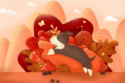 辦公室多肉植物的擺放有哪些風水禁忌？