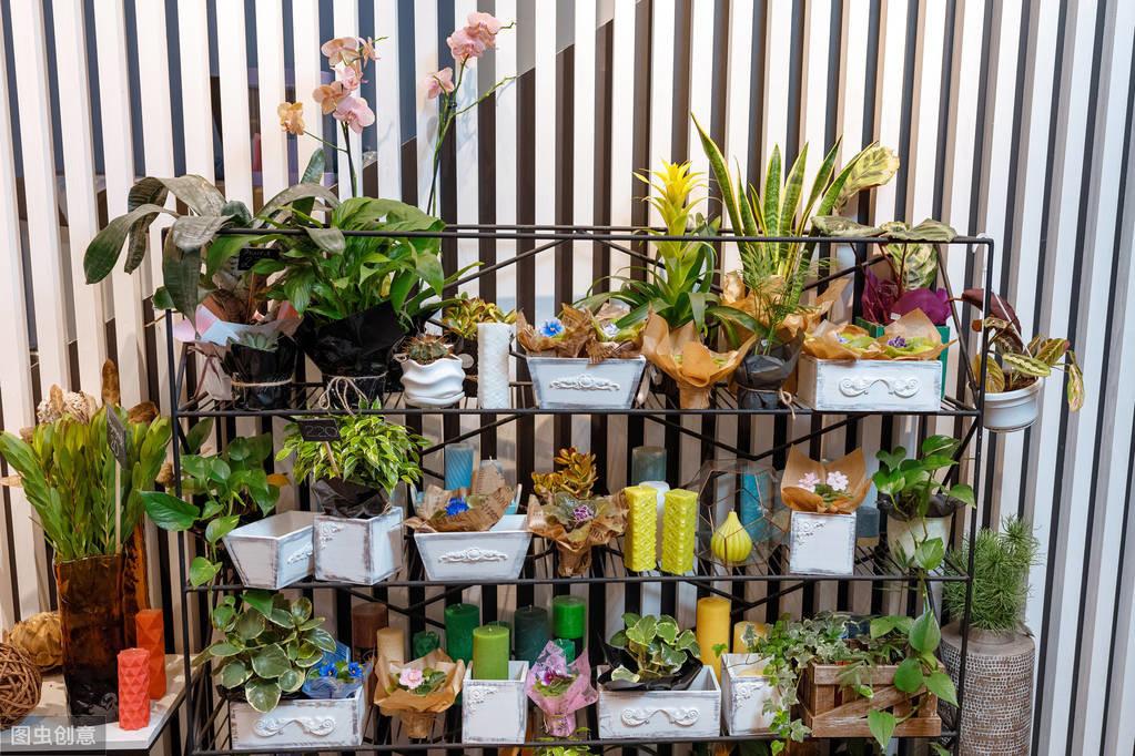 盤點中國十大花鳥市場  供市民參考