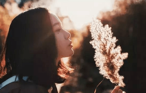 很撩很暖的表白情話 情侶告白的說說大全