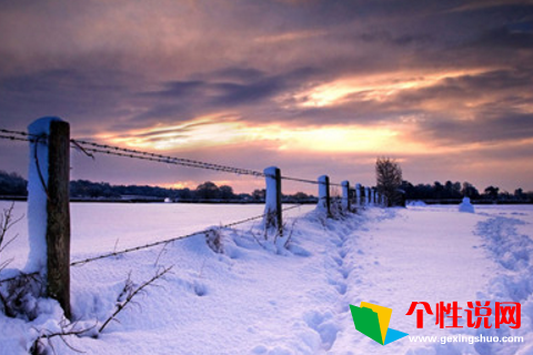 情侶間表白情話_情侶表白話術_表白情侶的話