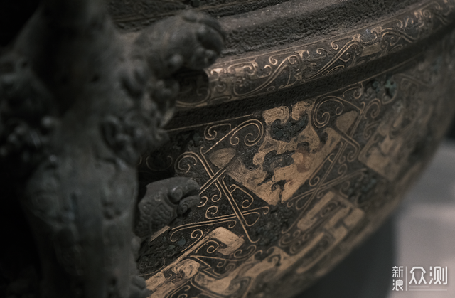 武漢觀賞魚市場_武漢最大觀賞魚市場_武漢魚市場在哪里