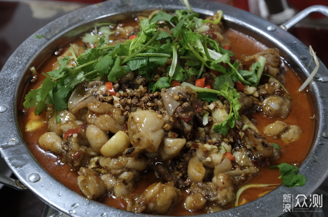 武漢觀賞魚市場_武漢魚市場在哪里_武漢最大觀賞魚市場