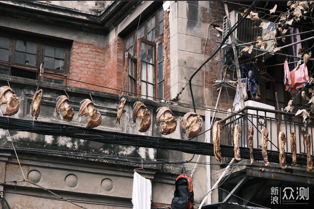 武漢觀賞魚市場_武漢最大觀賞魚市場_武漢魚市場在哪里