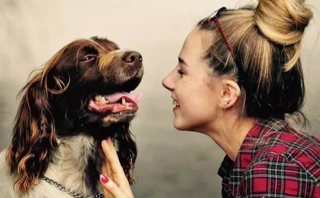 狗狗聽(tīng)得懂人說(shuō)話嗎？它并不能理解真正意思