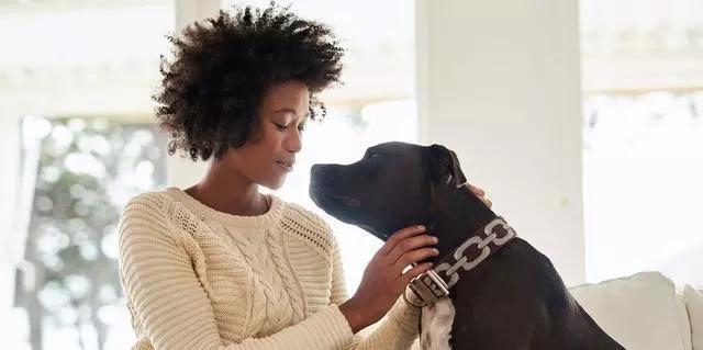 狗狗能聽(tīng)懂人說(shuō)話嗎_狗能聽(tīng)懂人說(shuō)話不_狗狗能聽(tīng)懂人說(shuō)的話