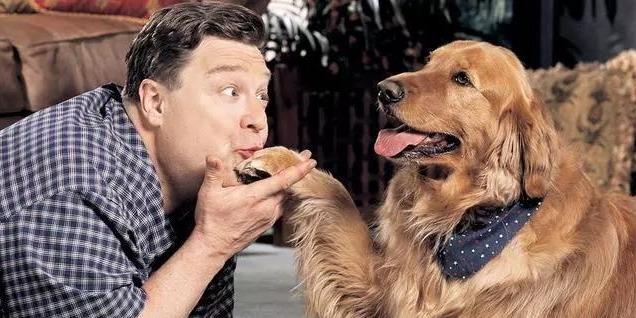 狗狗能聽(tīng)懂人說(shuō)話嗎_狗能聽(tīng)懂人說(shuō)話不_狗狗能聽(tīng)懂人說(shuō)的話