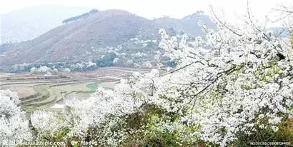 青島雕龍嘴村好玩么_青島雕龍嘴村旅游攻略_青島最美鄉村雕龍嘴