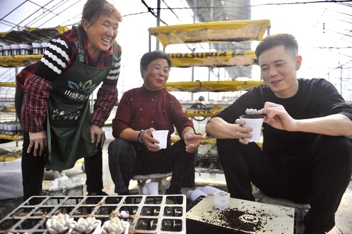 走進熊掌柜的“多肉王國”，瞅一眼瞬間被治