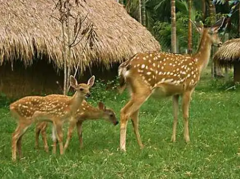 吉林景點大全_吉林旅游景點大全景點排名榜_吉林旅游攻略必玩的景點