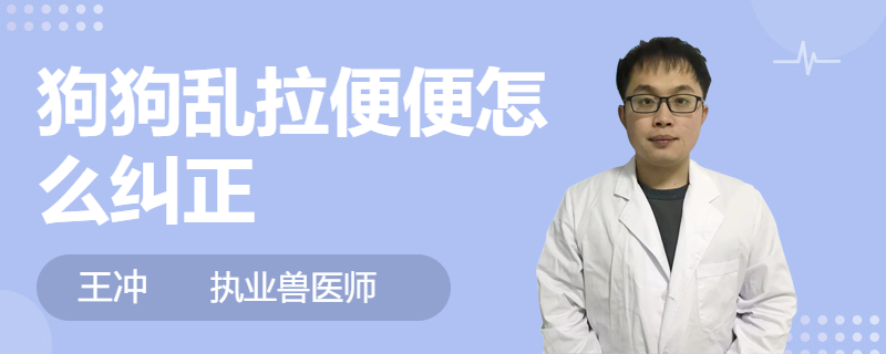 狗狗拉的屎發綠_狗狗拉綠色的屎但是精神很好_狗拉屎偏綠色