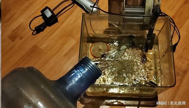 觀賞養魚水用什么消毒_養觀賞魚用啥水_觀賞養魚水用什么水好