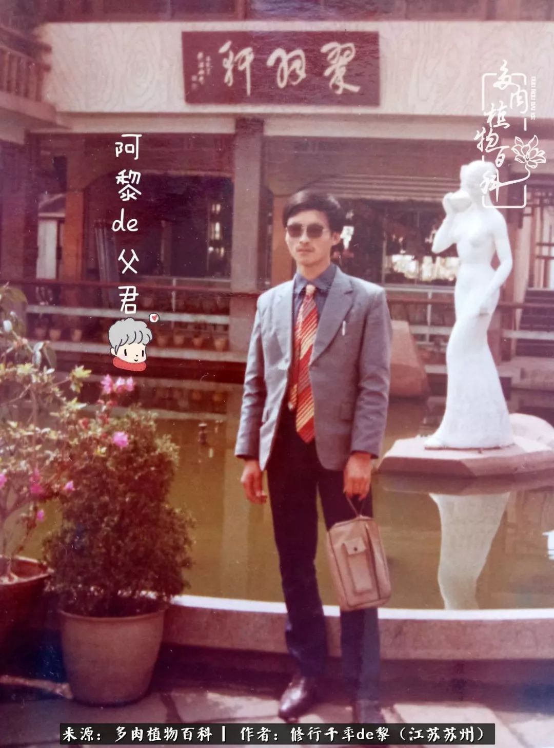 多肉暗冰貴嗎_暗冰多肉怎么養_多肉暗冰怎么養