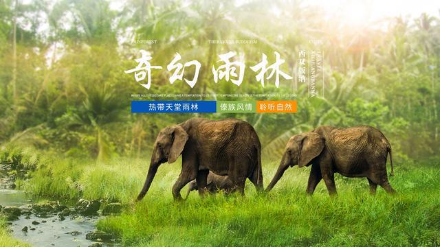 昆明+西雙版納7天6晚自由行攻略