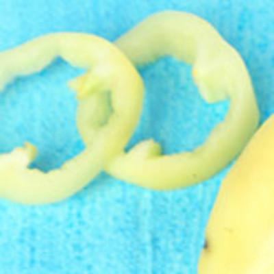 清道夫魚(yú)能吃嗎