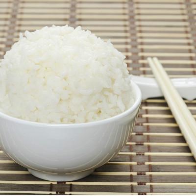 觀賞魚吃自己的排泄物_觀賞魚能吃嘛_觀賞魚吃多少魚食