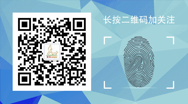 泰迪狗好養(yǎng)嗎_養(yǎng)狗養(yǎng)泰迪好嗎_泰迪狗好不好養(yǎng)活