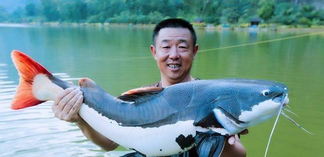 紅尾鯰絕對是釣魚人無法拒絕的誘惑, 就連李