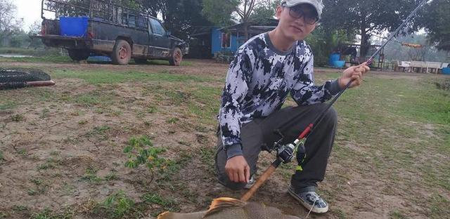 招財(cái)貓?chǎng)T魚_觀賞魚鯰魚招財(cái)貓_觀賞招財(cái)貓?chǎng)T魚魚苗圖片