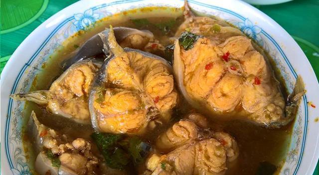 觀賞魚鯰魚招財(cái)貓_觀賞招財(cái)貓?chǎng)T魚魚苗圖片_招財(cái)貓?chǎng)T魚