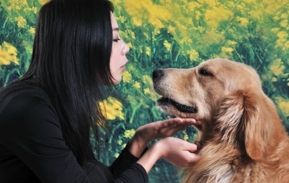 狗狗經(jīng)常“發(fā)抖”的6大原因，一旦發(fā)現(xiàn)，你