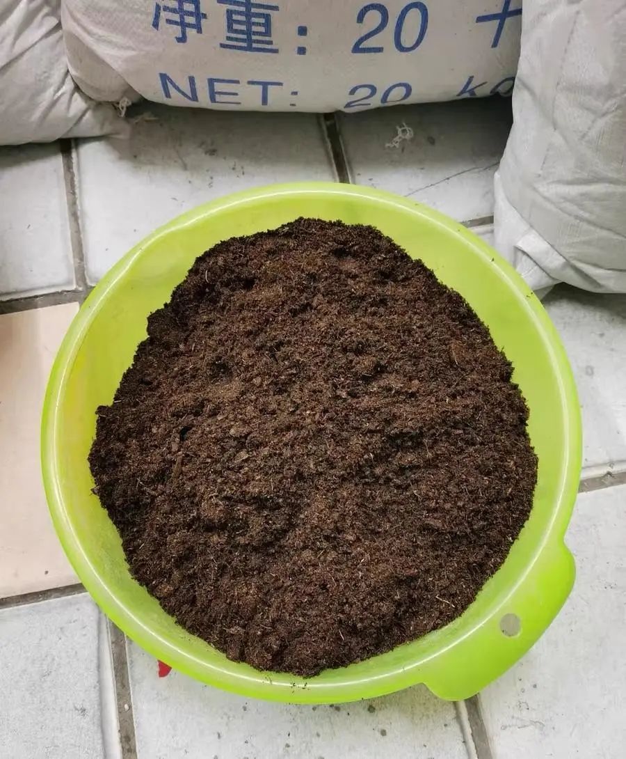 多肉泥炭土_純泥炭土種多肉_多肉植物泥炭土