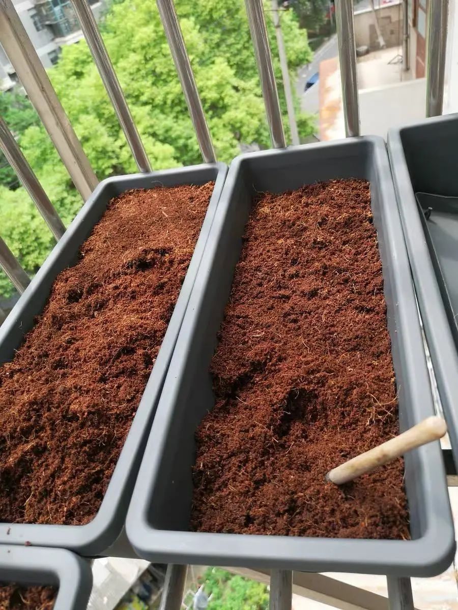 純泥炭土種多肉_多肉植物泥炭土_多肉泥炭土