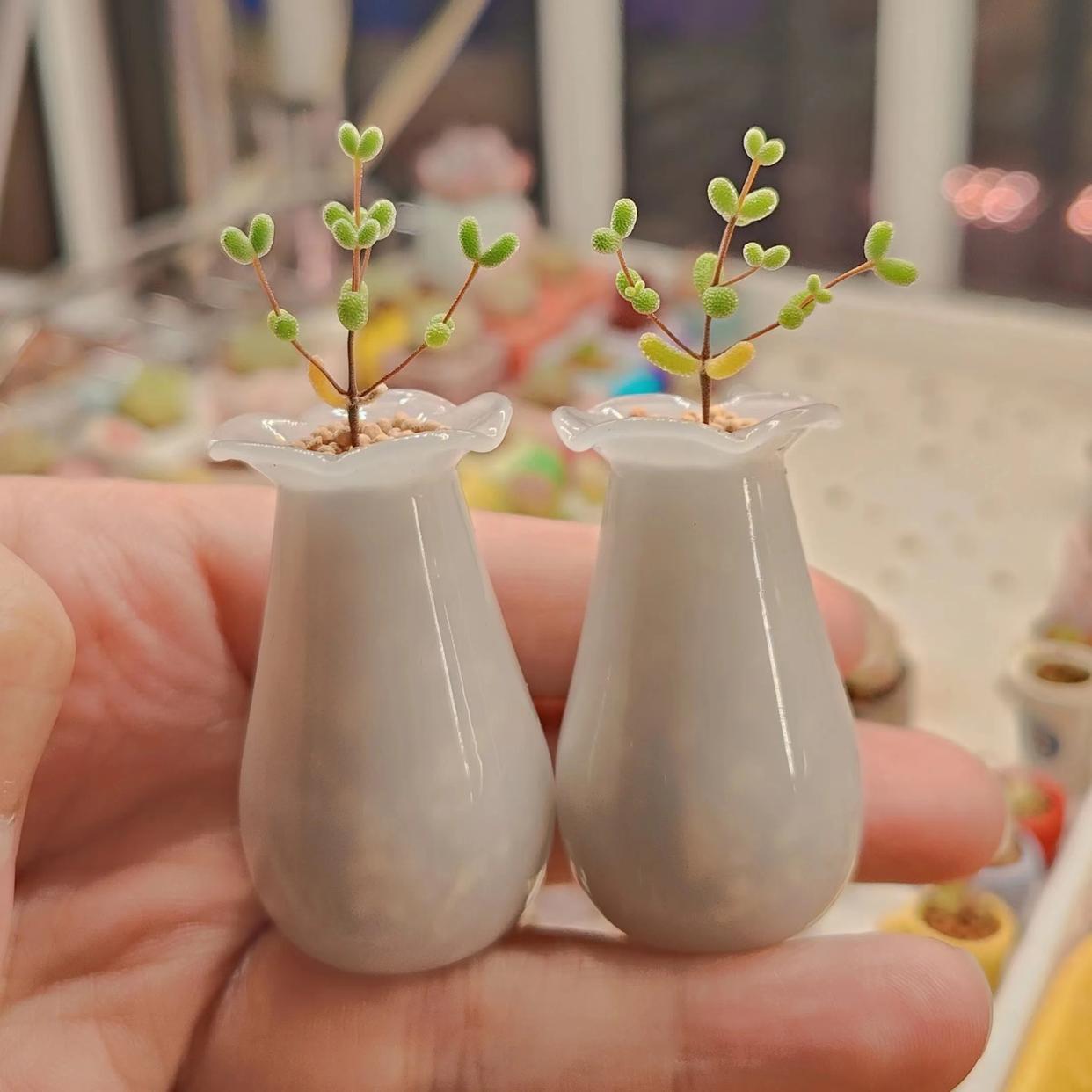 多肉專用澆水壺_多肉澆水壺怎么用_澆水專用多肉壺圖片