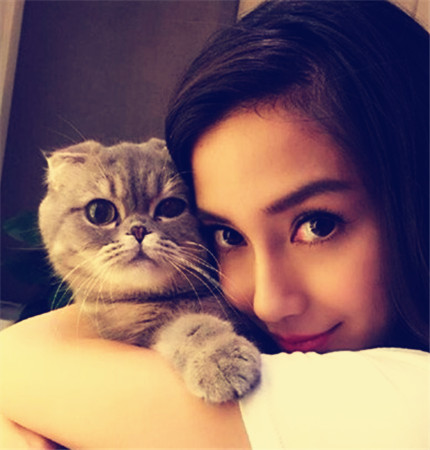 長毛尖嘴狗的品種是什么？