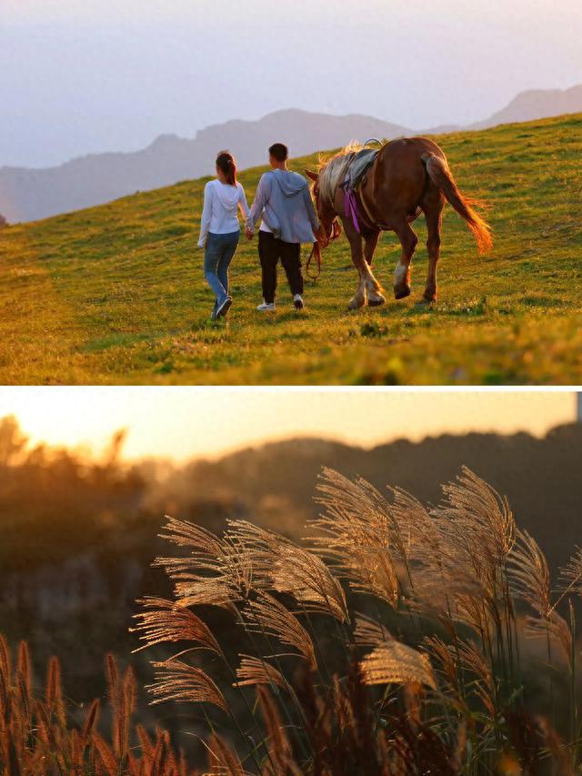 宜昌市內旅游攻略_宜昌市旅游攻略_宜昌市十大旅游景點排名