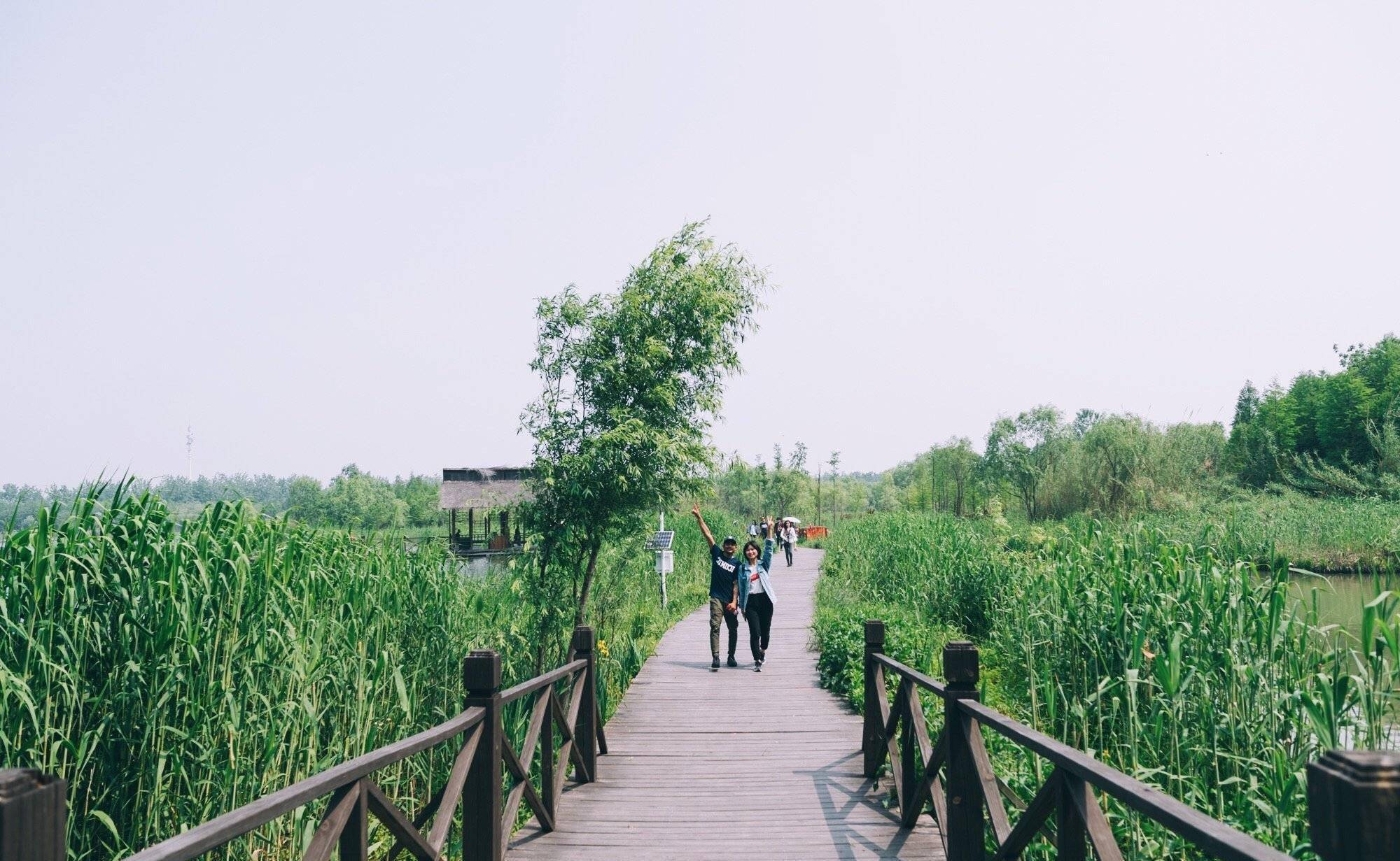 溱湖濕地公園游記_溱湖濕地公園游玩攻略_溱湖濕地公園導(dǎo)游圖
