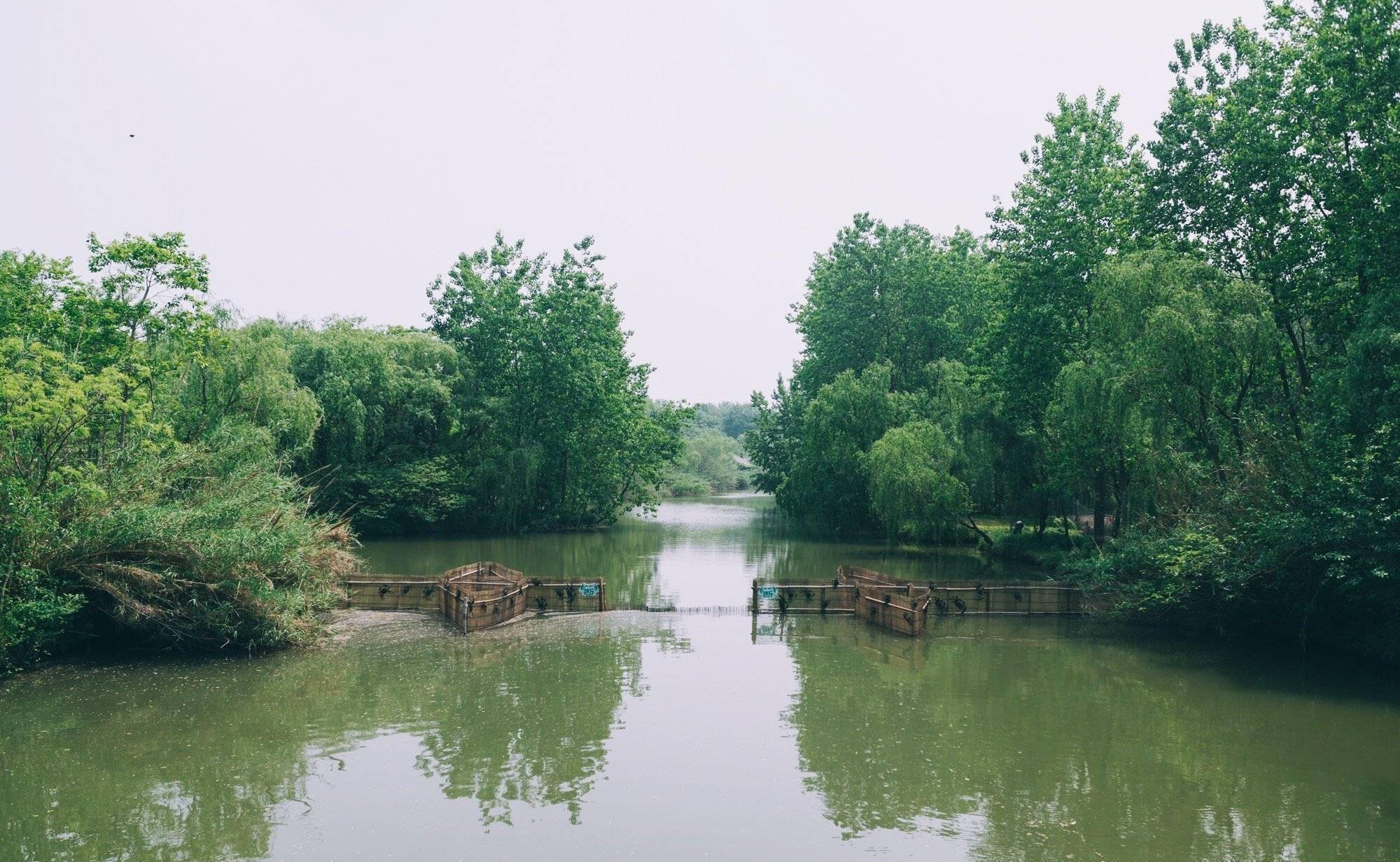 溱湖濕地公園導(dǎo)游圖_溱湖濕地公園游記_溱湖濕地公園游玩攻略